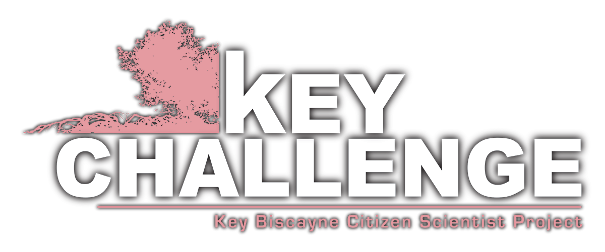 2017-18-key-challenge-2-1