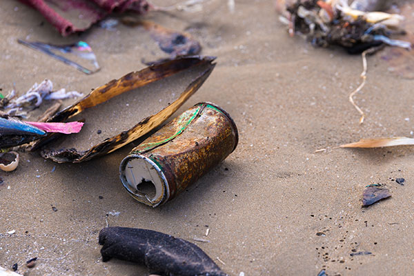 csp-beach-cleanup
