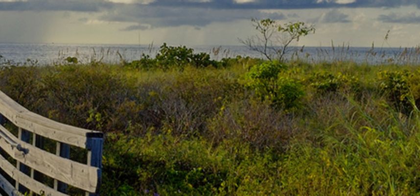 Key Biscayne’s Biking & Walking Paths