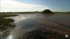 everglades pollution okeechobee