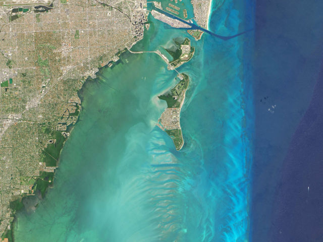 key-biscayne-water-quality-3