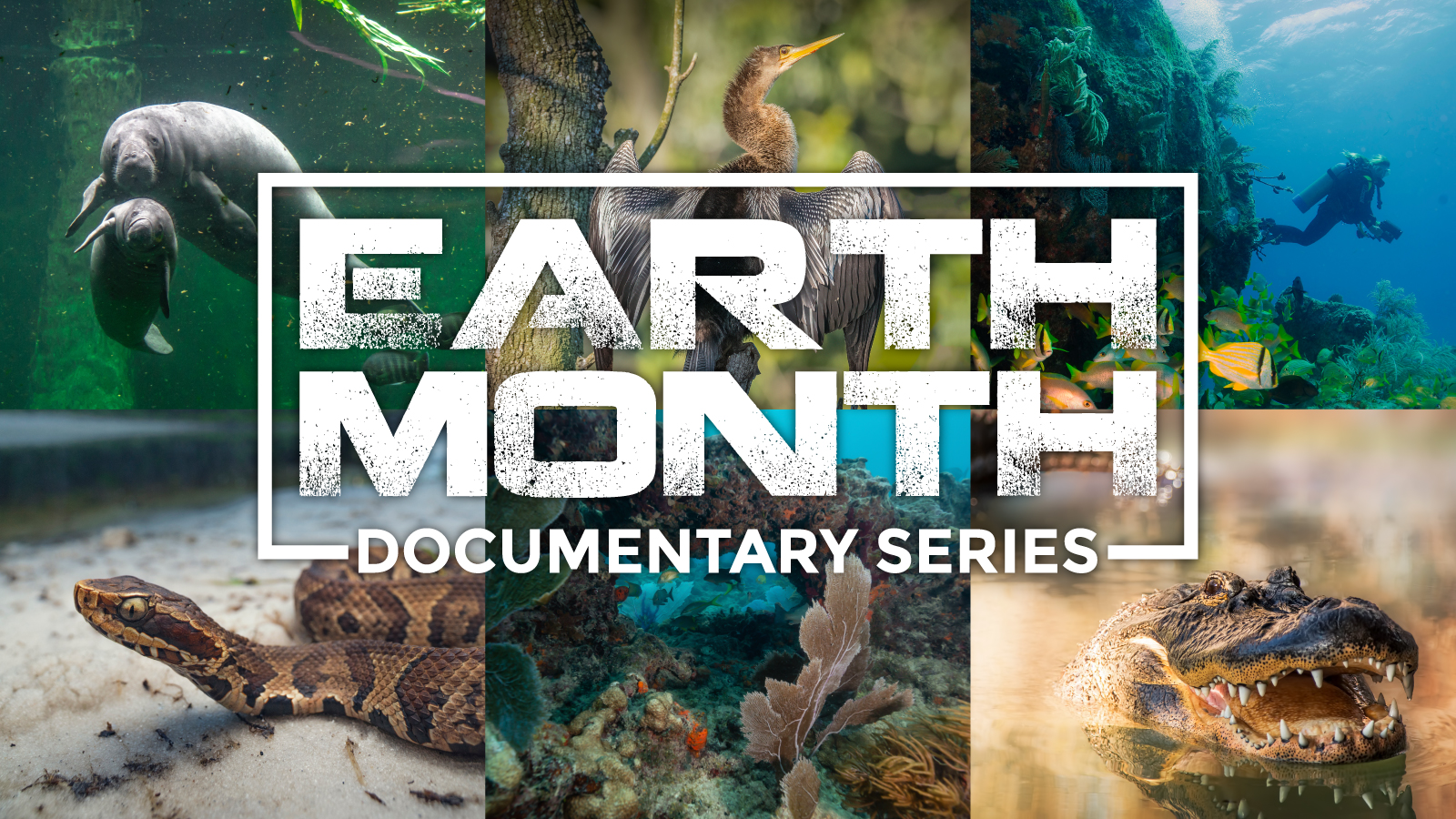 Earth Month Documentary Series