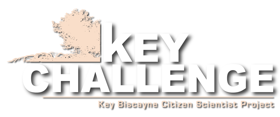 Key Biscayne Citizen Scientist Project's Key Challenge